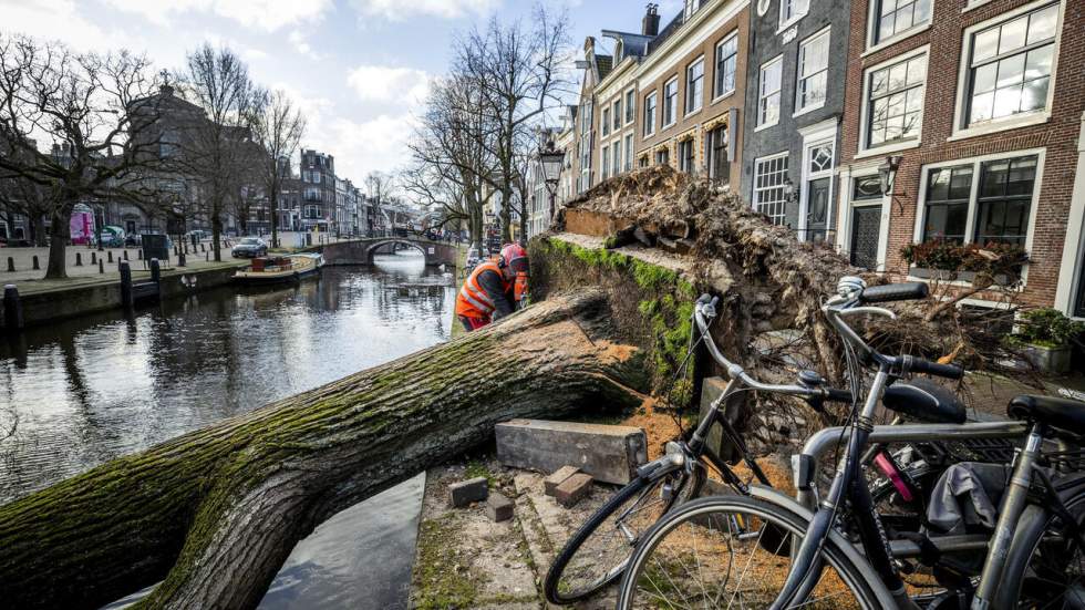 Tempête Eunice : plusieurs morts et d'importants dégâts matériels dans le nord de l'Europe