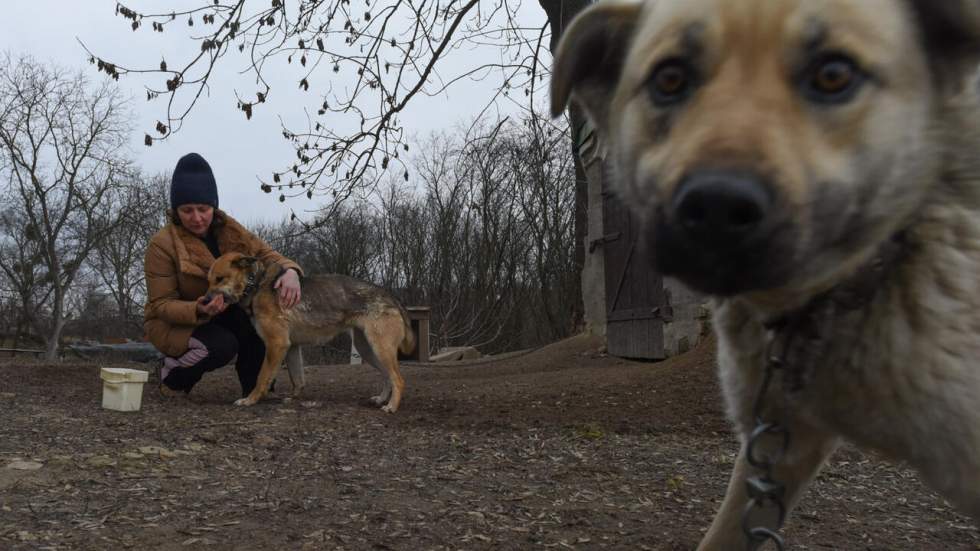 "En ville, on devrait se terrer dans des caves" : la campagne, refuge face à l'invasion russe