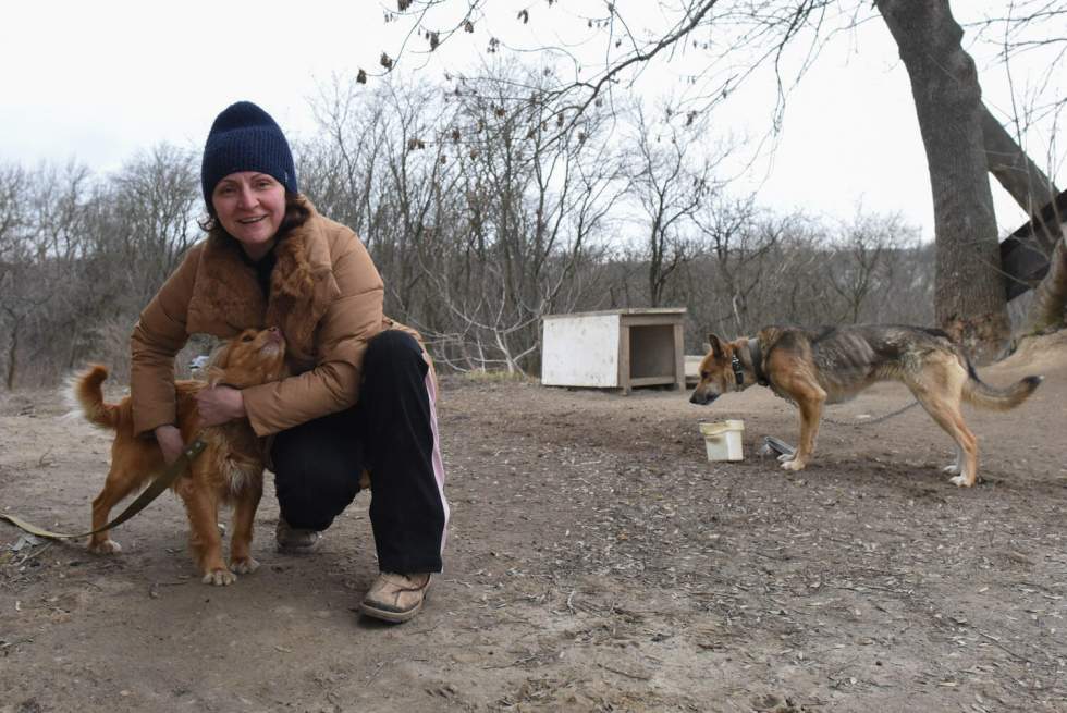 "En ville, on devrait se terrer dans des caves" : la campagne, refuge face à l'invasion russe