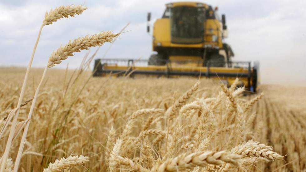 La guerre en Ukraine ravive le spectre d'une explosion de pénuries alimentaires