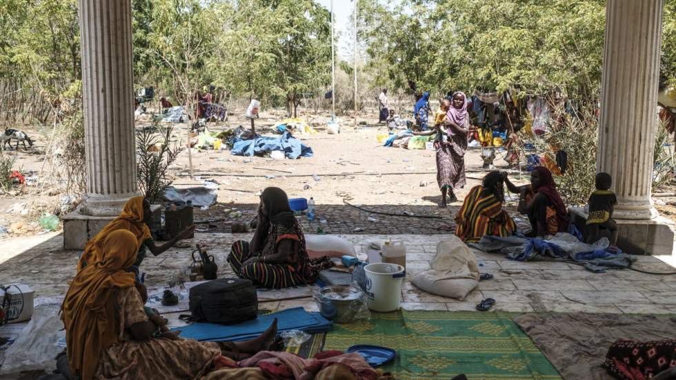 En Éthiopie, le gouvernement décrète une "trêve humanitaire illimitée"