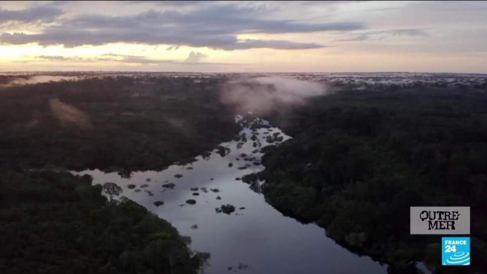 Guyane : l'Amazonie, un réservoir de biodiversité à préserver