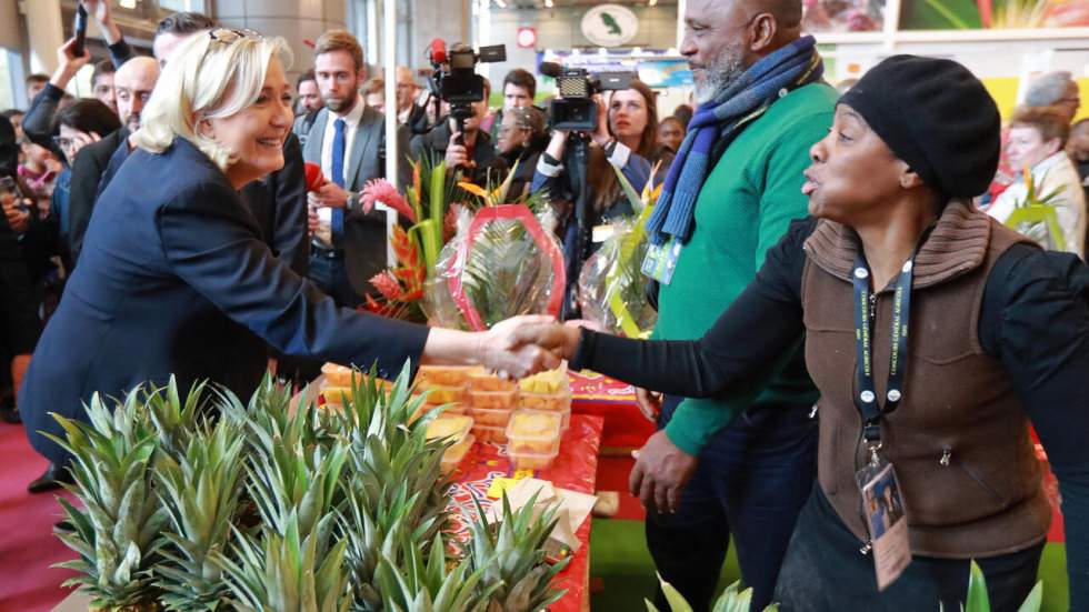 Présidentielle : Marine Le Pen victorieuse en Outre-mer, une conquête "fragile"