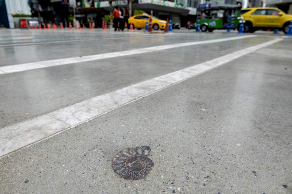 Des trottoirs de Bangkok pavés de fossiles de mollusques du temps des dinosaures