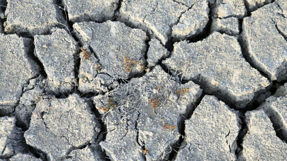 Sécheresse : la France est dans une "phase critique" du réchauffement climatique