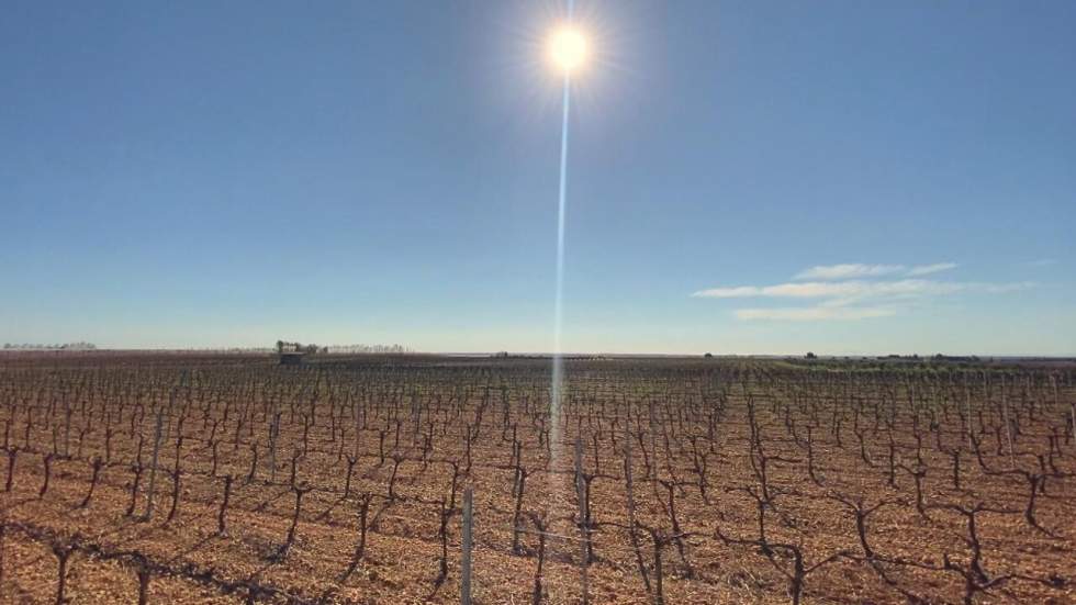 Sécheresse : la France est dans une "phase critique" du réchauffement climatique