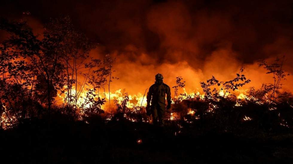 Incendies en Gironde : une catastrophe écologique et une gestion des forêts à repenser