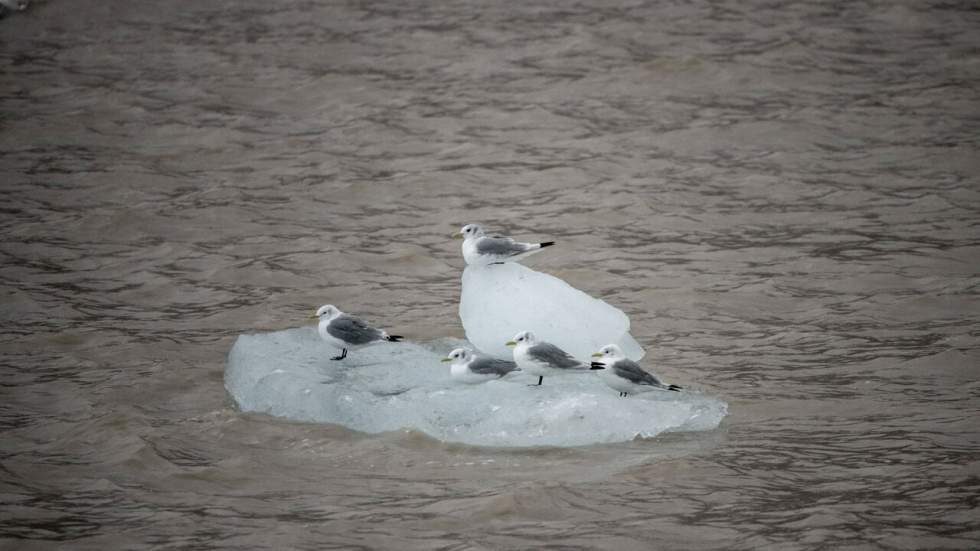 Accélération de la fonte des glaces, avec des conséquences bien visibles Accélération de la fonte des glaces, avec des conséquences bien visibles