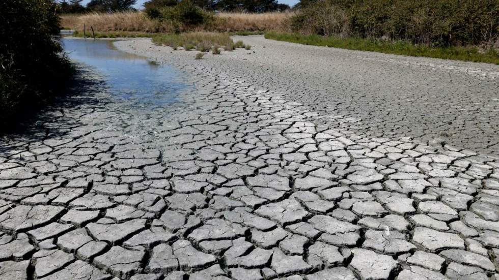 Retour de la canicule en France... 2022, année de tous les records