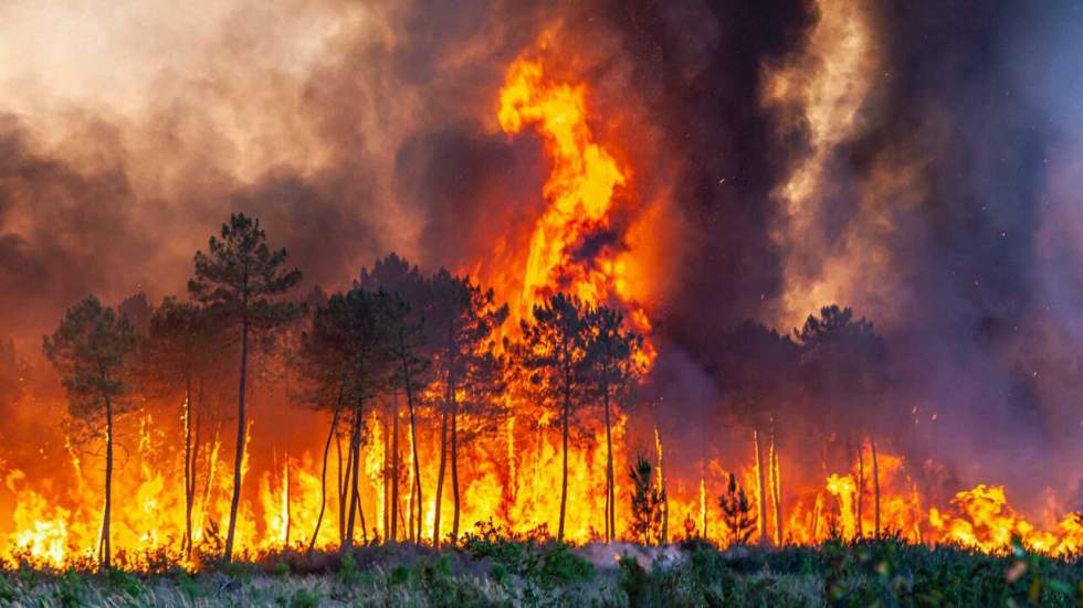 Le feu a ravagé 6 200 hectares en Gironde, déjà 10 000 personnes évacuées