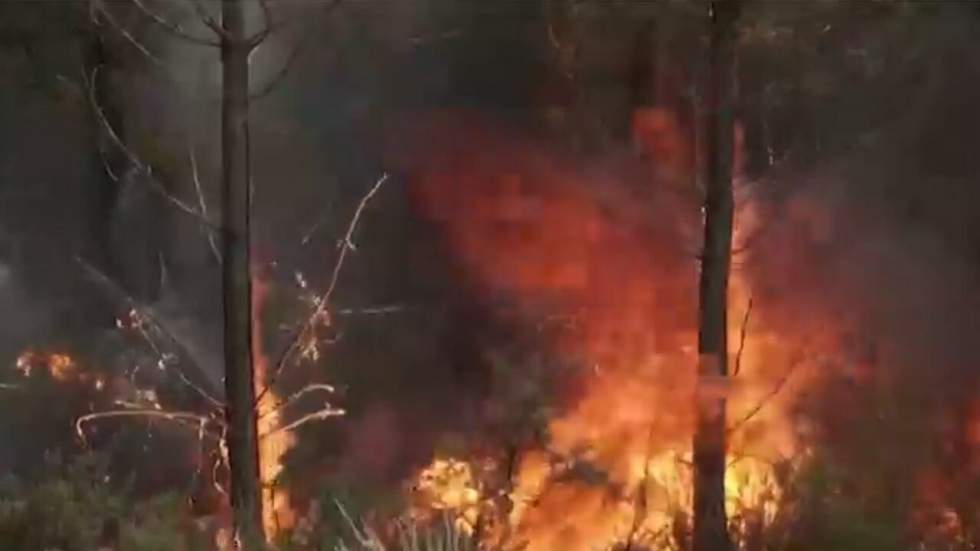 France : malgré le pic de la canicule, l'incendie en Gironde cesse de progresser