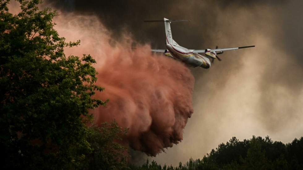 Émissions de carbone, pollution à l'ozone... Comment les feux de forêts étouffent la planète