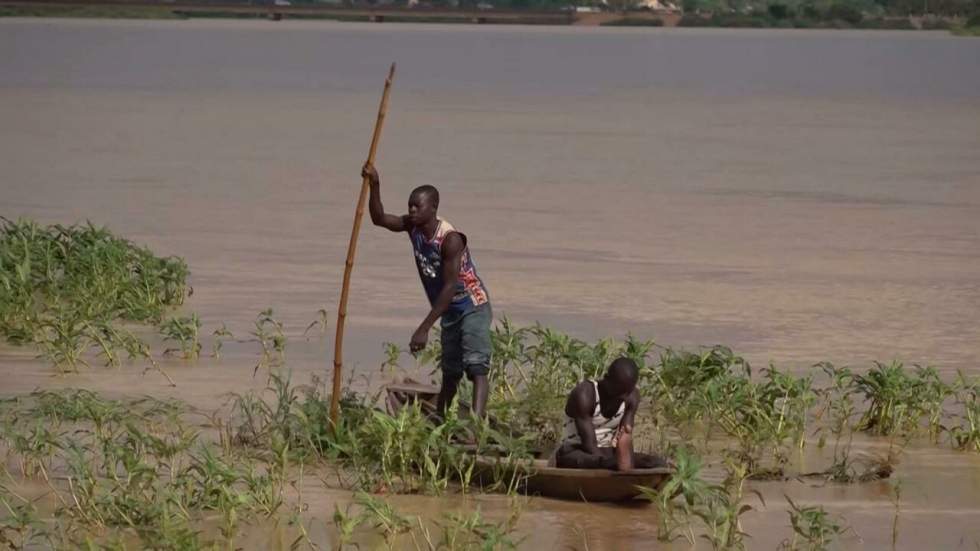 Niger : de fortes pluies ont fait plus de 80 morts, le fleuve Niger monte toujours à Niamey