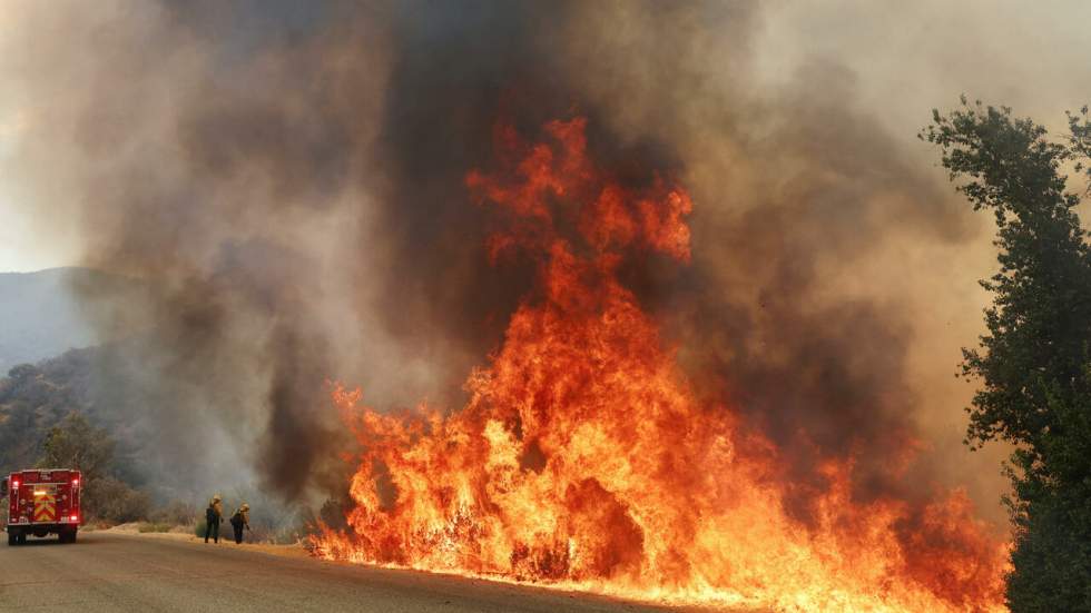 Températures extrêmes, incendies d'ampleur : l'Ouest américain étouffe