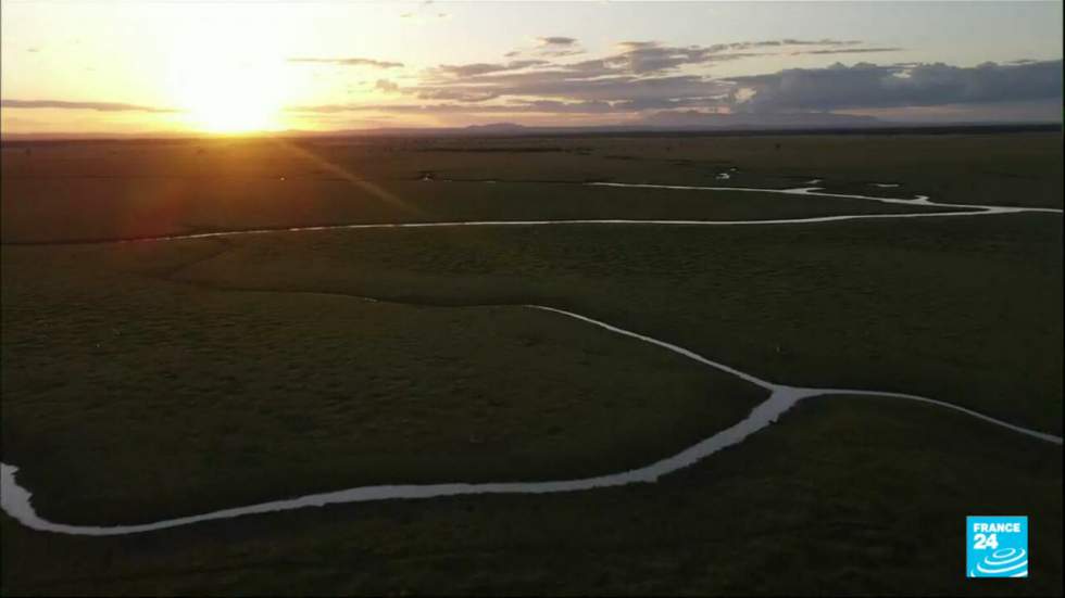 Mozambique : la renaissance du Parc national de Gorongosa