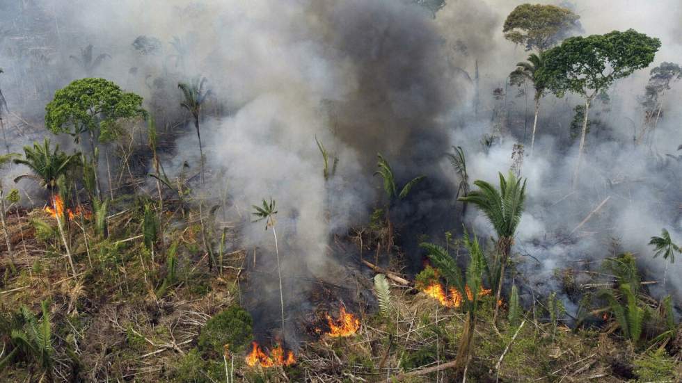 Au Brésil, l'Amazonie a connu plus d'incendies depuis janvier que sur toute l'année 2021