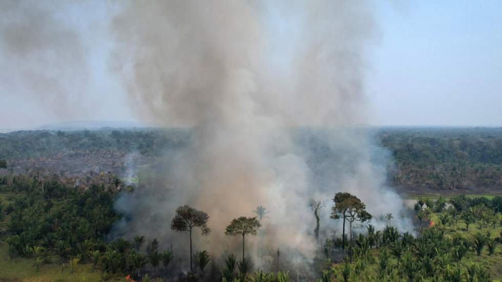 Au Brésil, un scrutin où se joue le sort de la forêt amazonienne