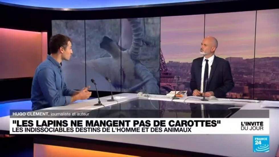 Hugo Clément, journaliste : "L'information est le vecteur principal" pour protéger la biodiversité