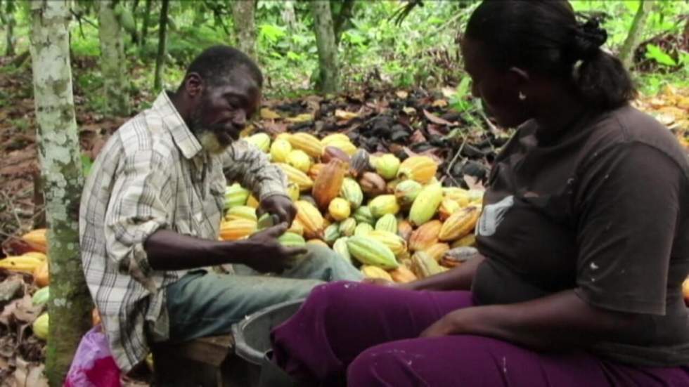 Production de cacao : la Côte d'Ivoire et le Ghana boycottent le sommet de Bruxelles