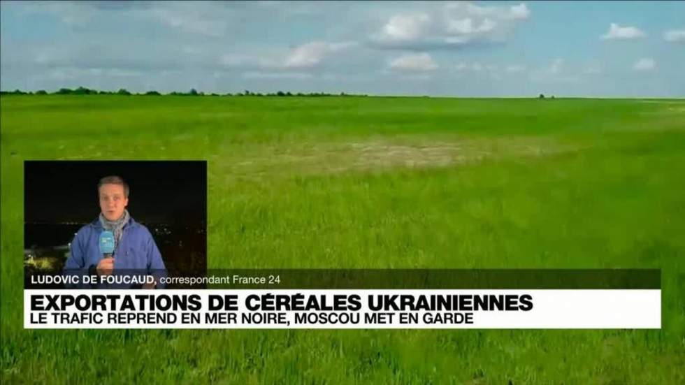 Les céréales ukrainiennes au cœur d'un bras de fer entre Poutine et Zelensky