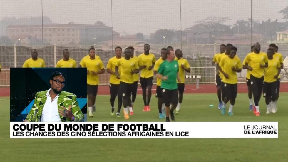 Coupe du monde 2022 : focus sur les cinq sélections africaines en lice