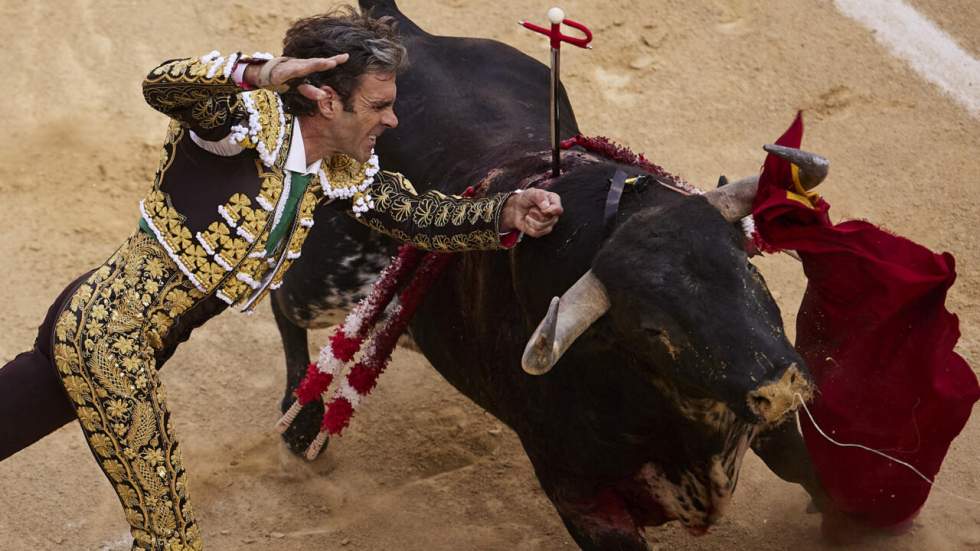 En perte de vitesse dans d'autres pays, la corrida fait débat en France mais reste bien en place