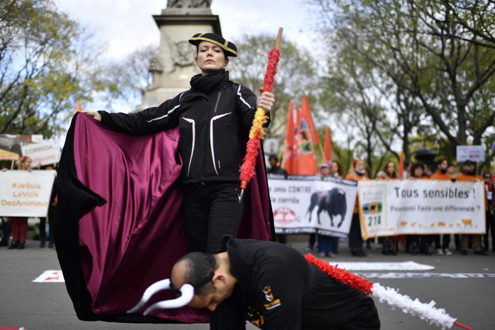 En perte de vitesse dans d'autres pays, la corrida fait débat en France mais reste bien en place