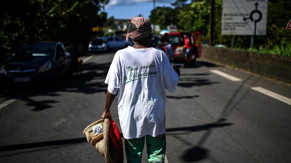 Chlordécone aux Antilles : la justice prononce un non-lieu mais reconnaît un "scandale sanitaire"