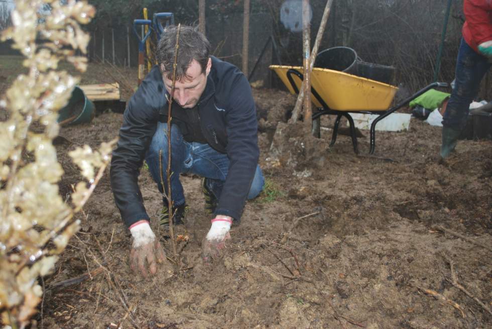 En Île-de-France, le pari de planter des micro-forêts pour ralentir le réchauffement climatique