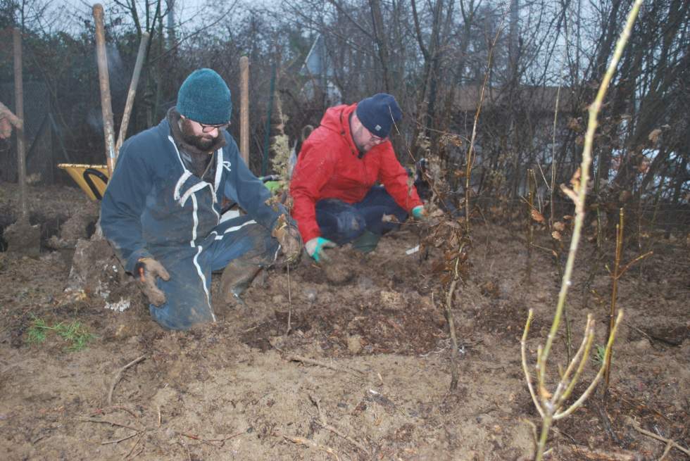 En Île-de-France, le pari de planter des micro-forêts pour ralentir le réchauffement climatique