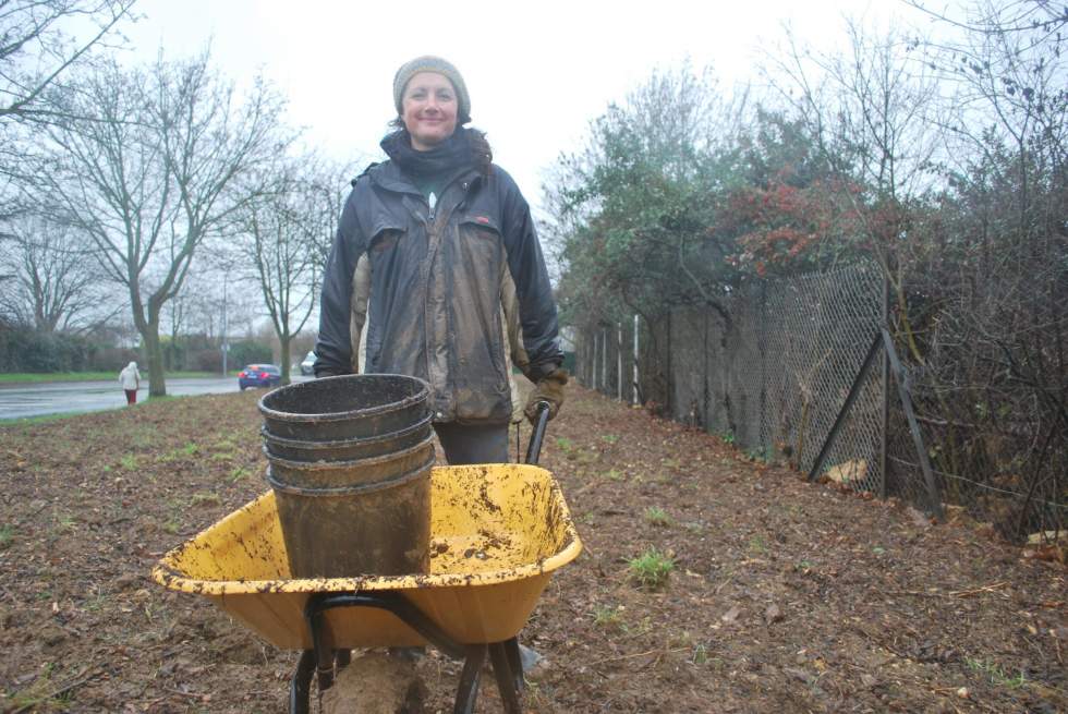 En Île-de-France, le pari de planter des micro-forêts pour ralentir le réchauffement climatique