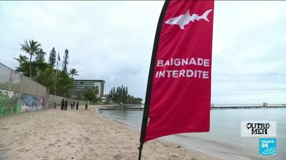 En Nouvelle-Calédonie, la campagne d'abattage des requins fait débat