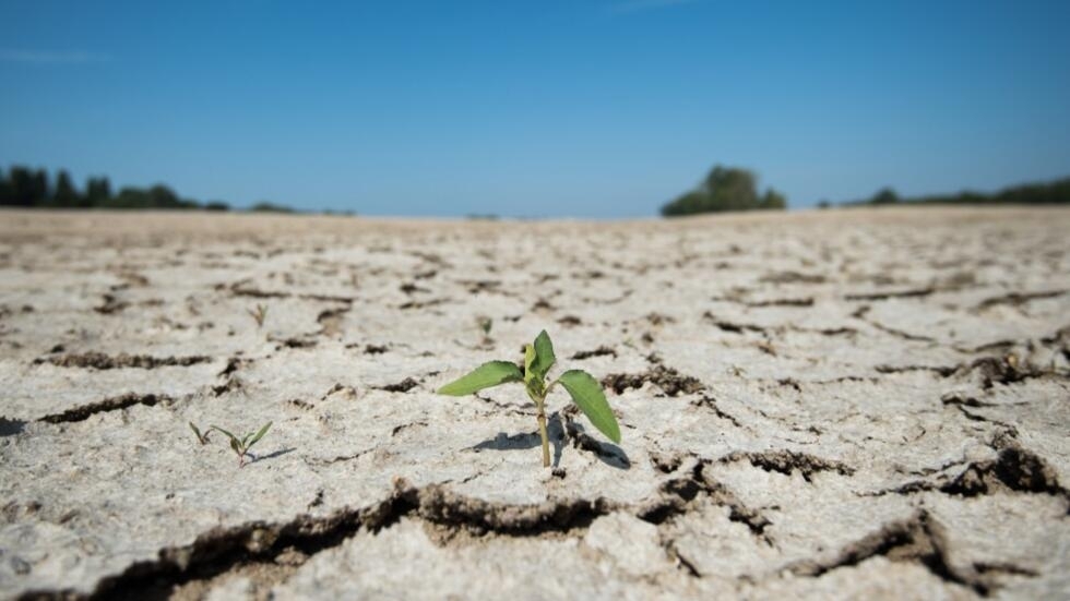 Un mois sans réelles pluies : la France égale le record de 2020 Un mois sans réelles pluies : la France égale le record de 2020