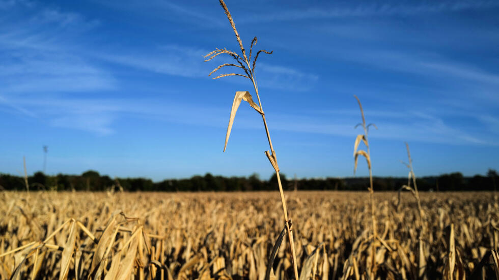 Face à la sécheresse, le monde agricole réfléchit à une meilleure gestion de "l'or bleu" Face à la sécheresse, le monde agricole réfléchit à une meilleure gestion de "l'or bleu"