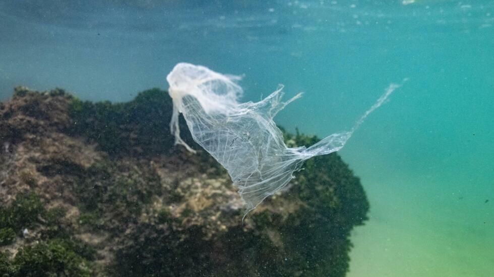 La pollution plastique des océans atteint un "niveaux sans précédent" depuis 15 ans La pollution plastique des océans atteint un "niveaux sans précédent" depuis 15 ans