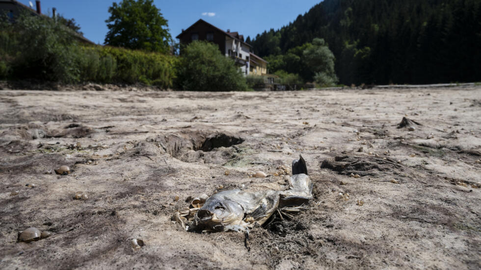 Rapport du Giec : des impacts de pire en pire mais des solutions sous notre nez