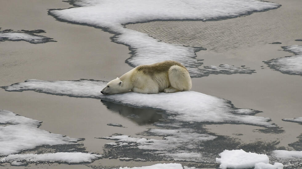 Un réchauffement de + 1,5 °C en 2030, et après ? Pourquoi "chaque dixième de degré compte"