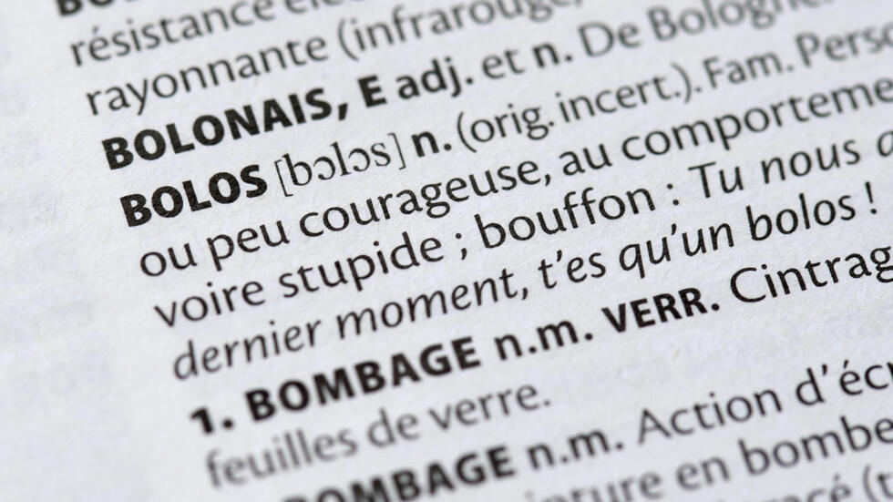 Métavers, webtoon, infonuagique...entrent dans les dictionnaires Larousse et Le Robert