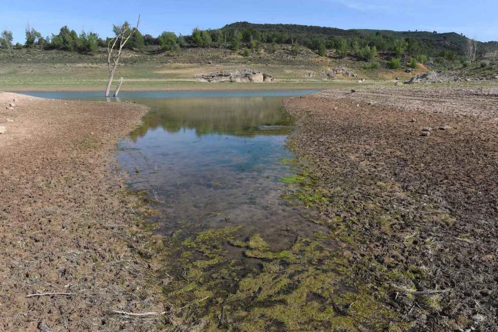 "Sans eau, nous ne sommes rien" : en Espagne, la sécheresse ravive le conflit autour du Tage