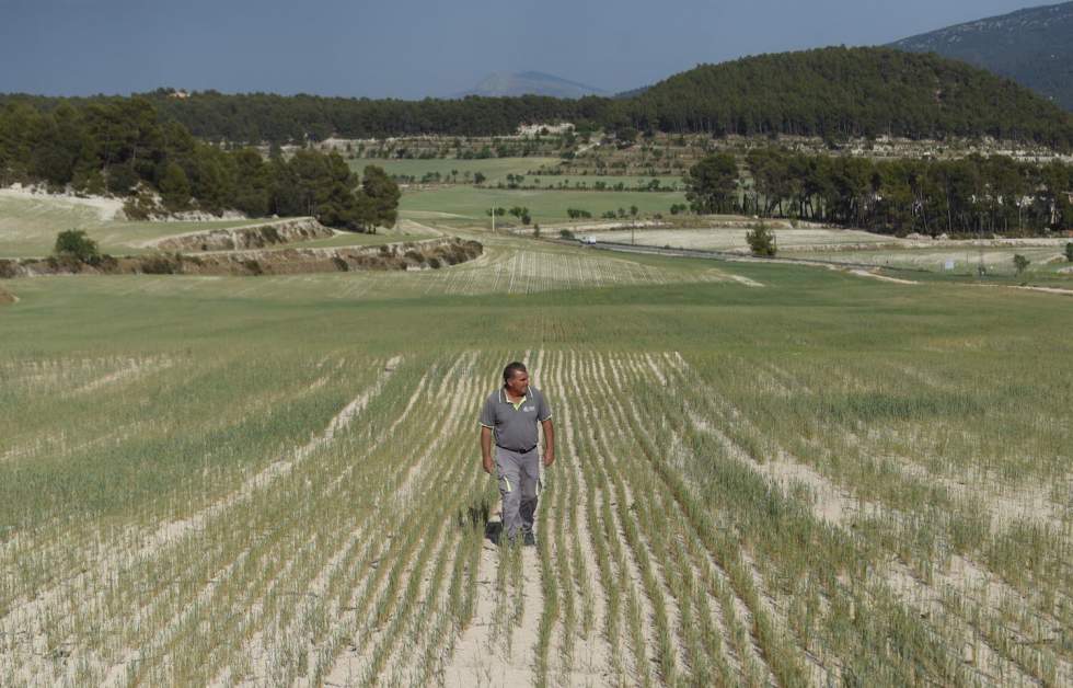 "Le sol n'a jamais été aussi sec" : à Alcoy, en Espagne, l'attente sans fin de la pluie