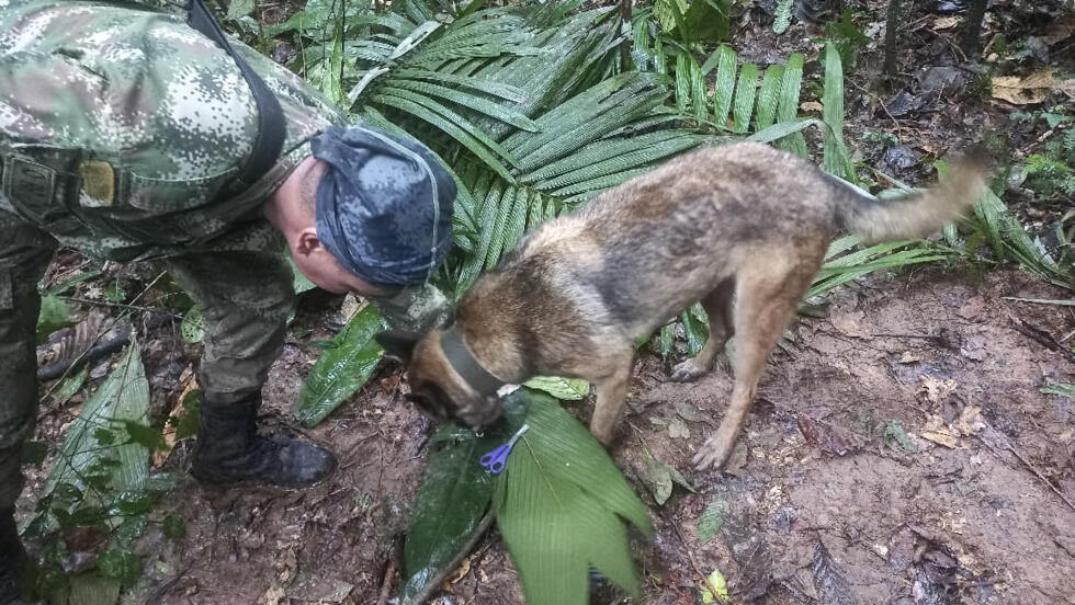 Colombie : quatre enfants, dont un bébé, ont survécu seuls 15 jours après un crash en Amazonie