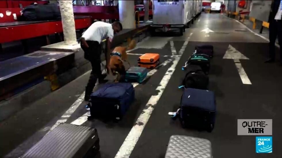 La Réunion : le trafic de stupéfiants en plein essor avec l’arrivée de nombreuses "mules" La Réunion : le trafic de stupéfiants en plein essor avec l’arrivée de nombreuses "mules"