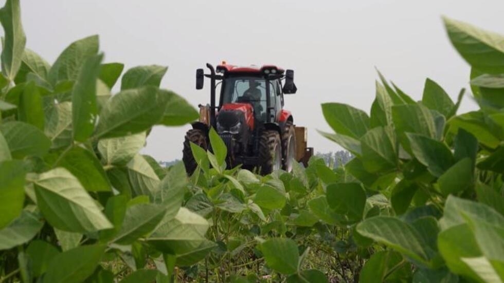 Agriculture : le Canada se tourne vers l'édition génomique des semences