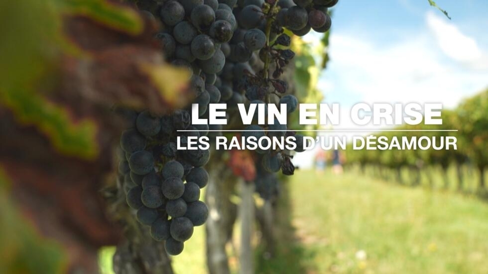 Le vin en crise : les raisons d'un désamour