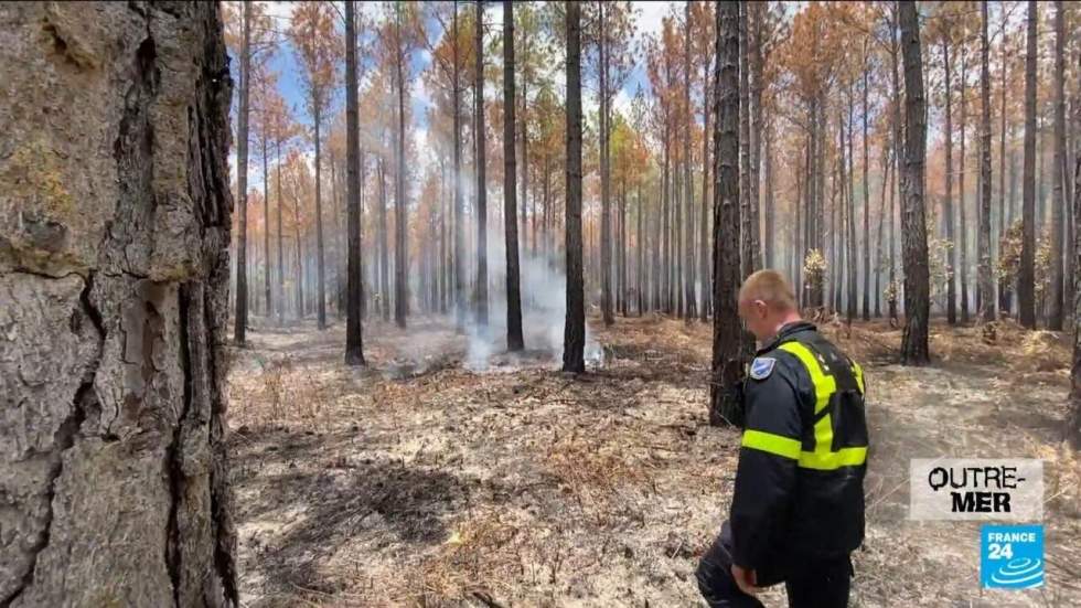 Nouvelle-Calédonie : des milliers d'hectares partis en fumée à cause des incendies