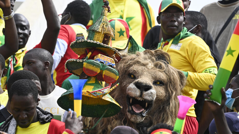 CAN 2024 : Éléphants, Lions, Aigles ... les surnoms des 24 équipes