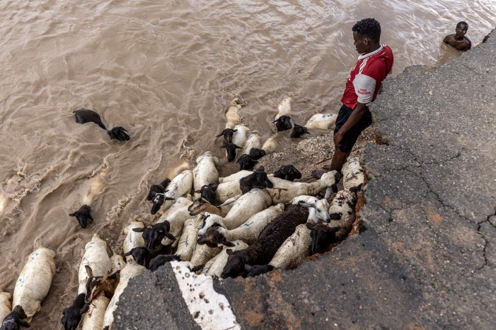 Dans la Corne de l'Afrique, plus de deux millions de déplacés après des inondations