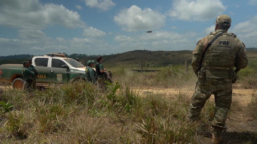 Brésil : l'Ibama, une police environnementale qui reprend son souffle