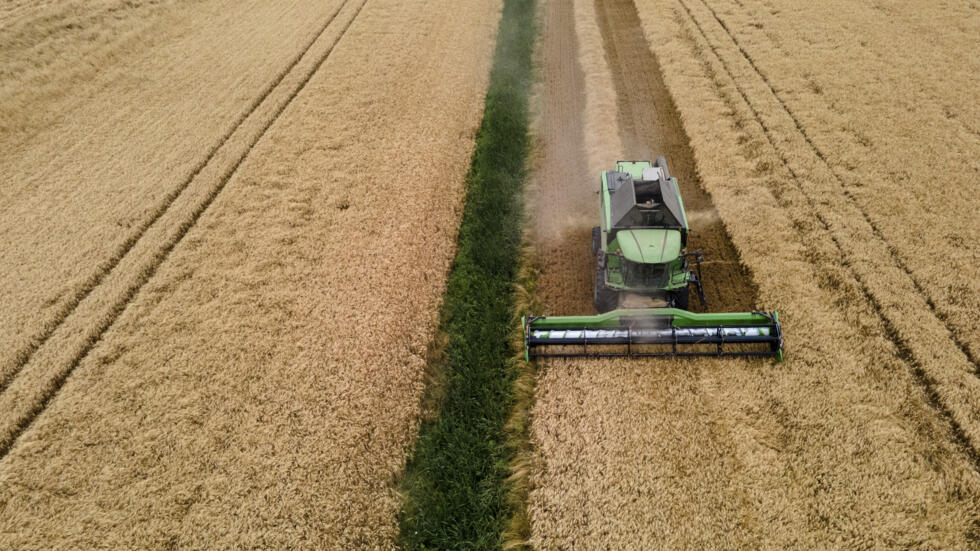 Agriculture : les ONG environnementales consternées par la "pause" du plan de baisse des pesticides