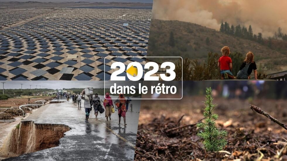 Environnement : une année de sombres records (et d'avancées !) pour la planète